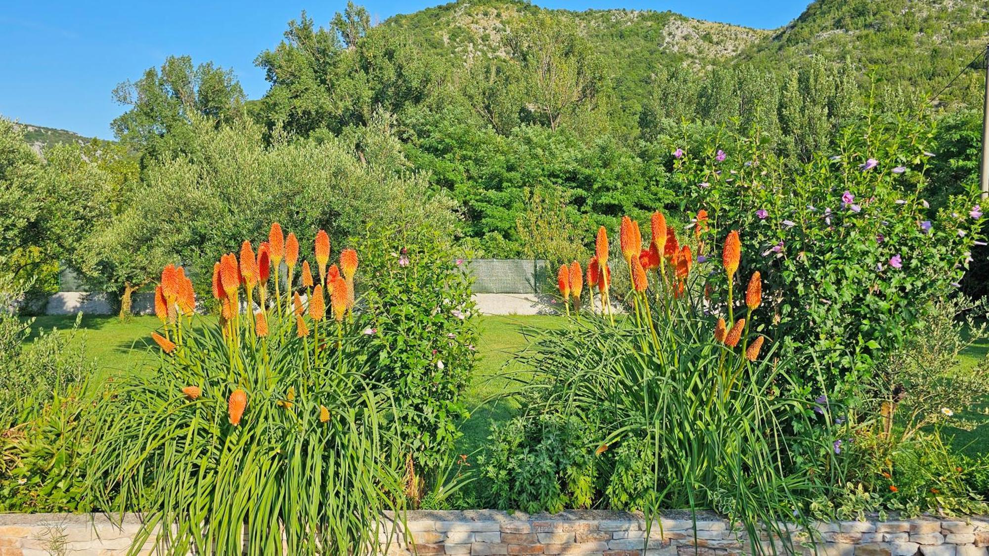 Holiday Home Natura With Private Pool Mostar Exterior foto